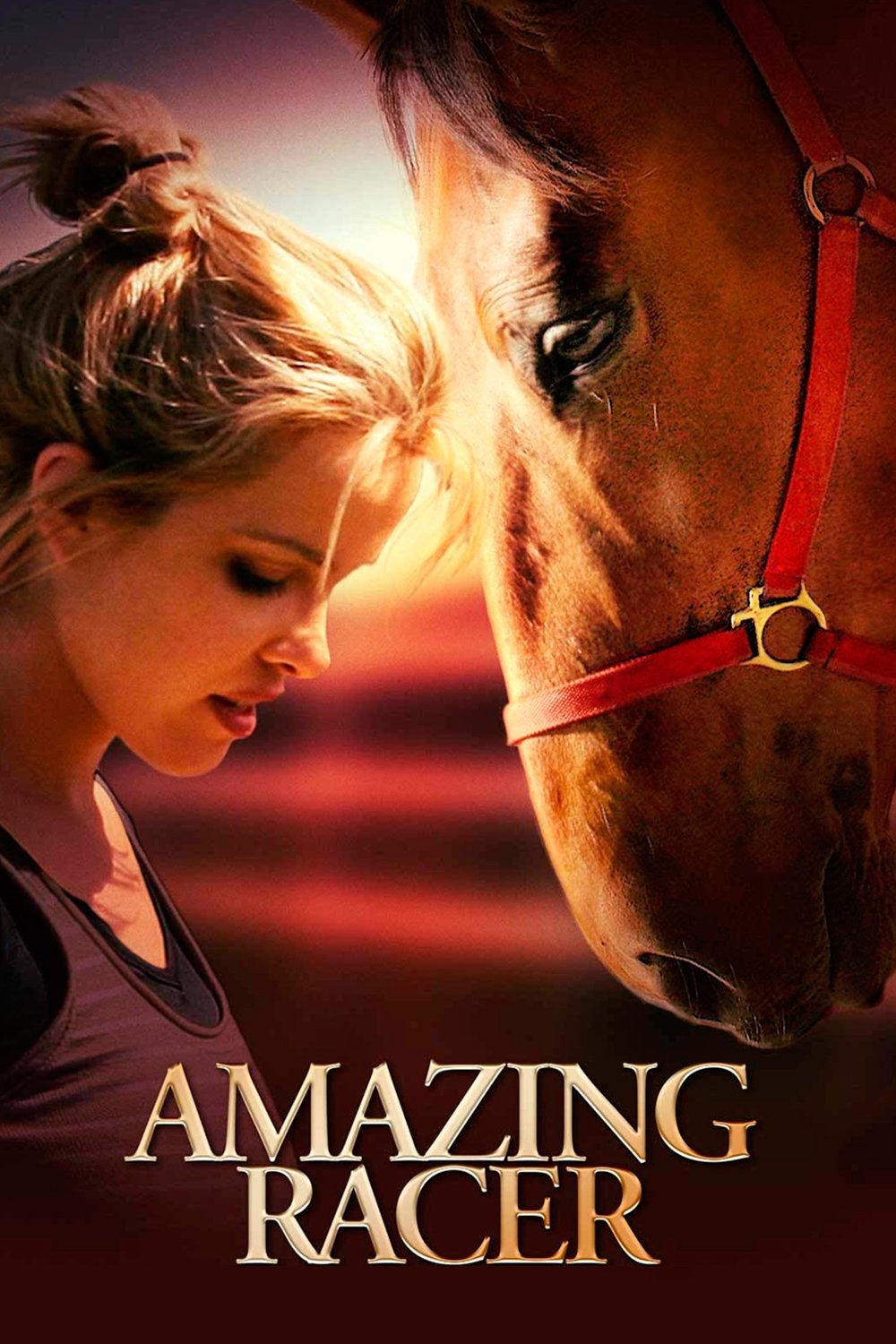 Постер Amazing Racer